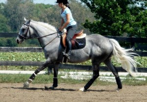 An image of a young woman riding the gray mare Bunny