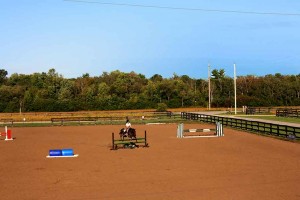 Horse Jumping in the Outdoor Ring