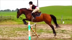 Horse and rider going over a jump